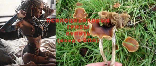 мескалин Мегион