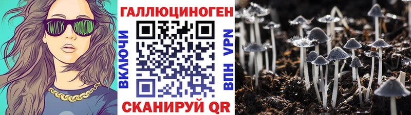Псилоцибиновые грибы MAGIC MUSHROOMS  Купить закладки  Нестеровская 